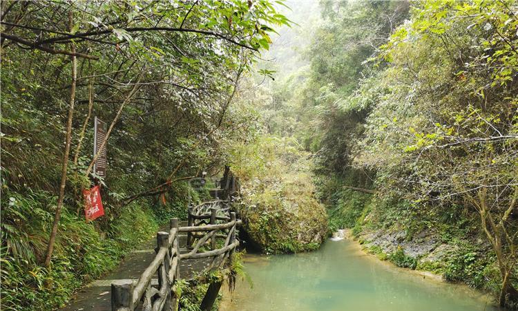 春节热门城市民宿预订增长6.3倍,哈尔滨仍是“顶流”